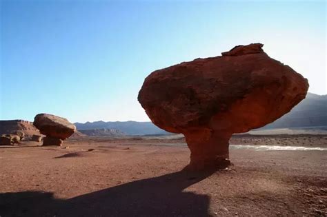 wind erosion features|landforms caused by wind erosion.